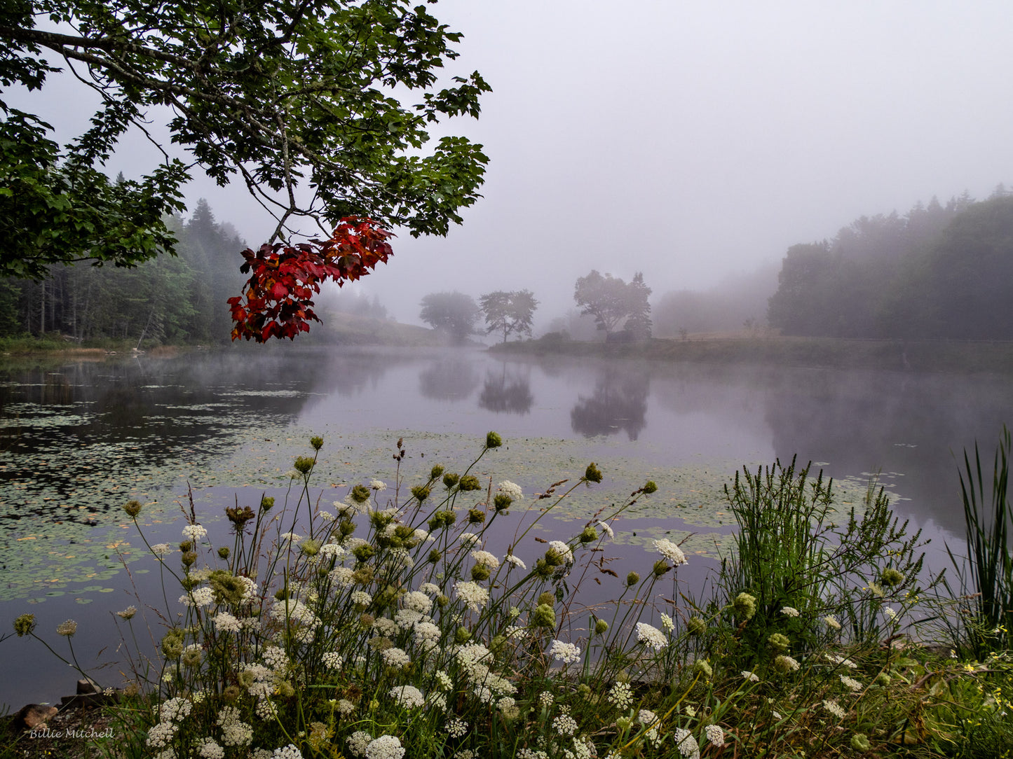 August calendar photo of Little Long Pond.