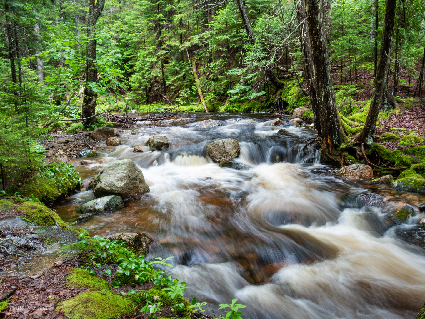 July calendar photo of Hunters Brook Trail.
