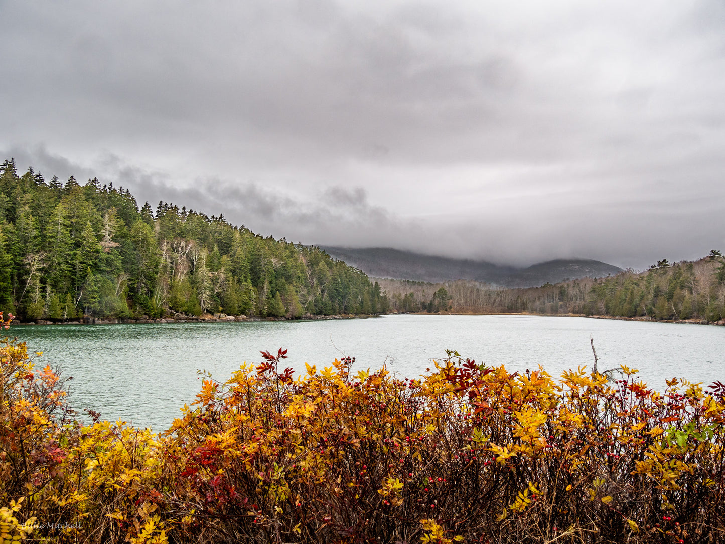 November calendar photo of Otter Cove.