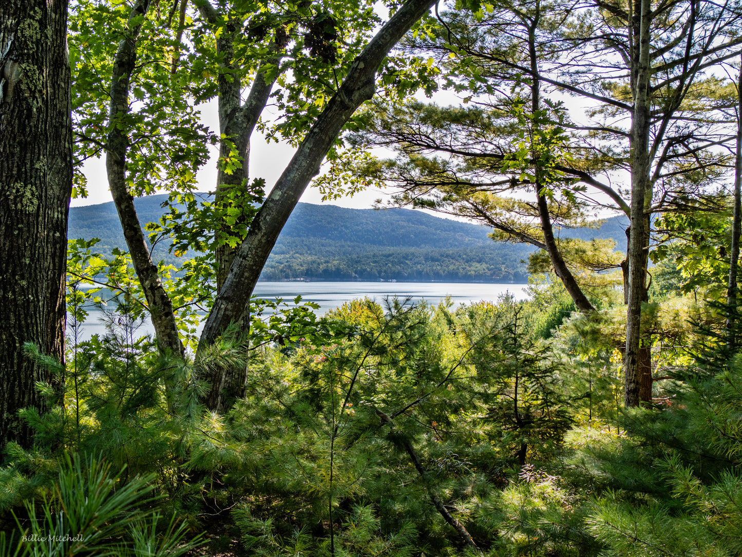 September calendar photo of Somes Sound.