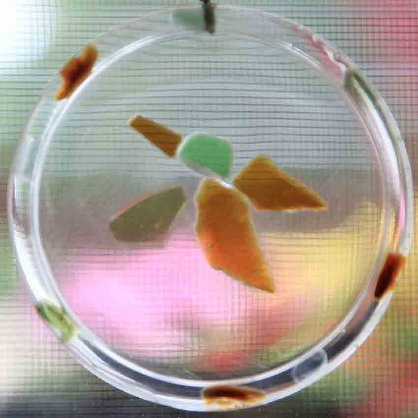 Sea Glass Sun Catcher - HummingbirdSea Glass Sun Catcher - HummingbirdSuncatchers